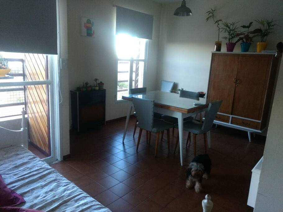 espacio común living
