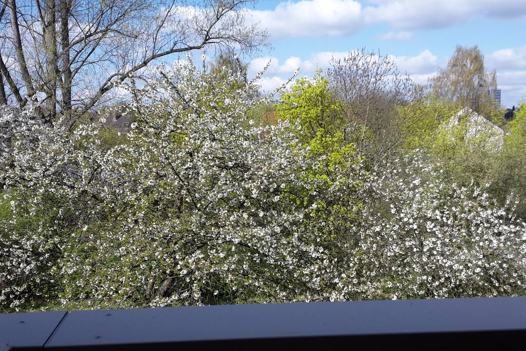 Ausblick vom Balkon ins Grüne