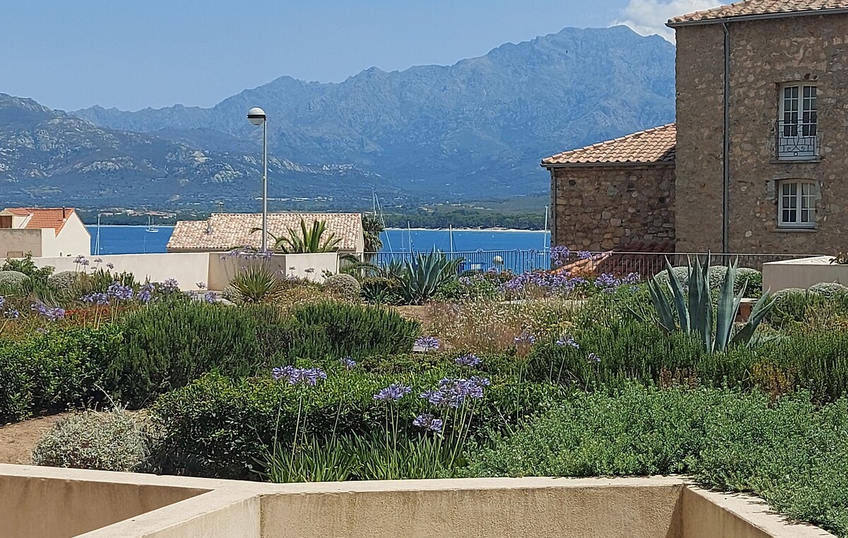 Successful Airbnb property: Beautiful recent studio in the heart of Calvi in Calvi