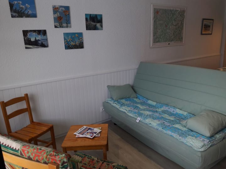 47m2 Refait 2019 Plein Sud - 2 Balcons - 6pl - 3 * - Chamrousse