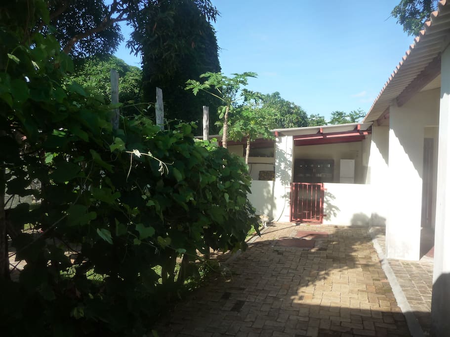 Papaia House