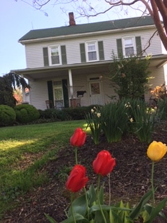 A charming farmhouse is presented with a green roof and white siding, featuring front porch access. Colorful tulips in red and yellow bloom in the foreground, enhancing the landscaped garden with greenery and flowering plants. The home is situated in a peaceful rural setting.