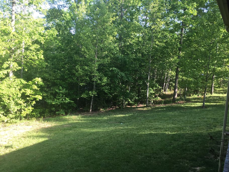 View from Front Porch