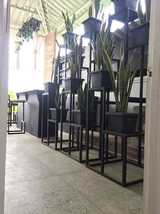 Geriflora cafe