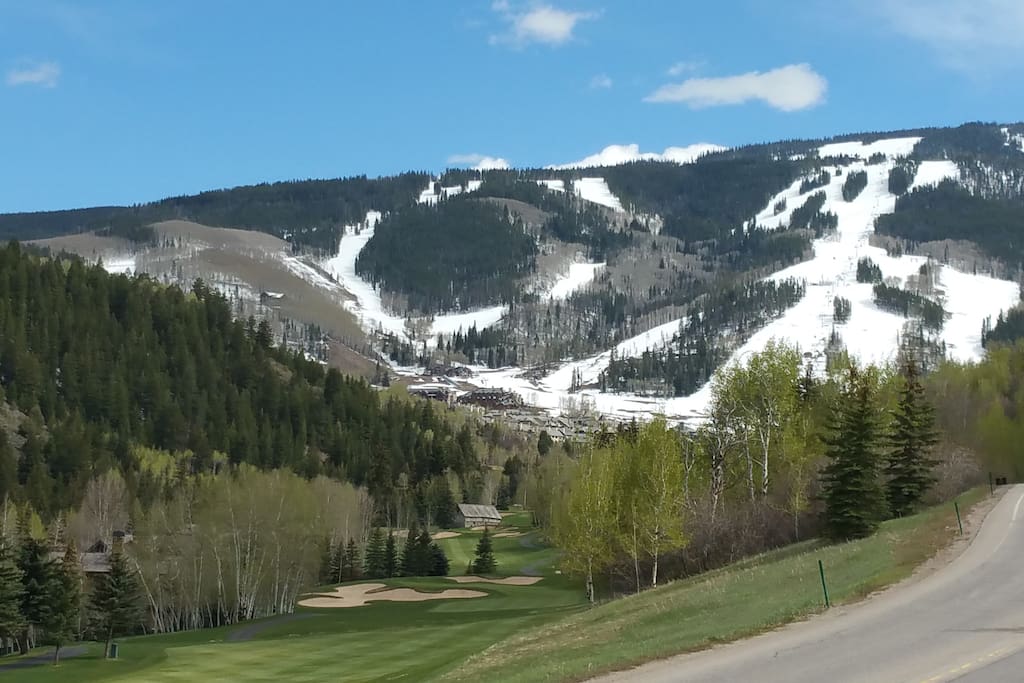 Just a short walk down the cul de sac to see this gorgeous view!