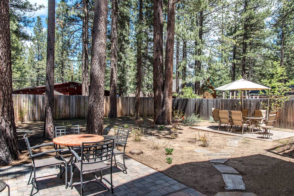 Plenty of seating to choose from, right under the trees.