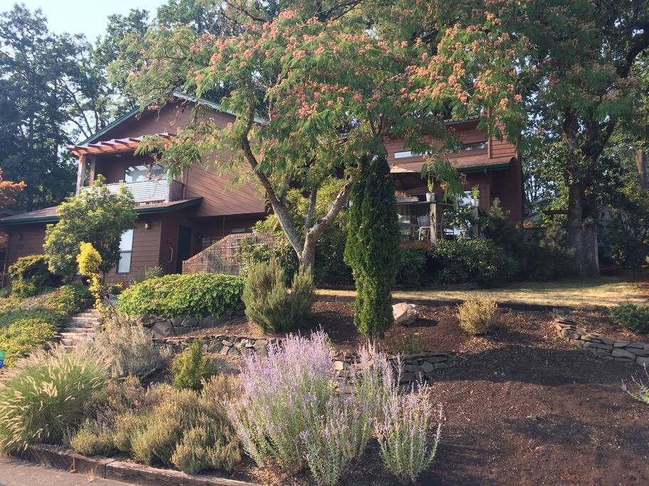 Front of the house