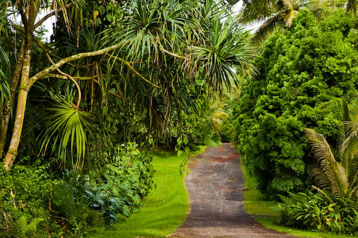 Airbnb Hawaiian Beaches Ferienwohnungen Unterkunfte