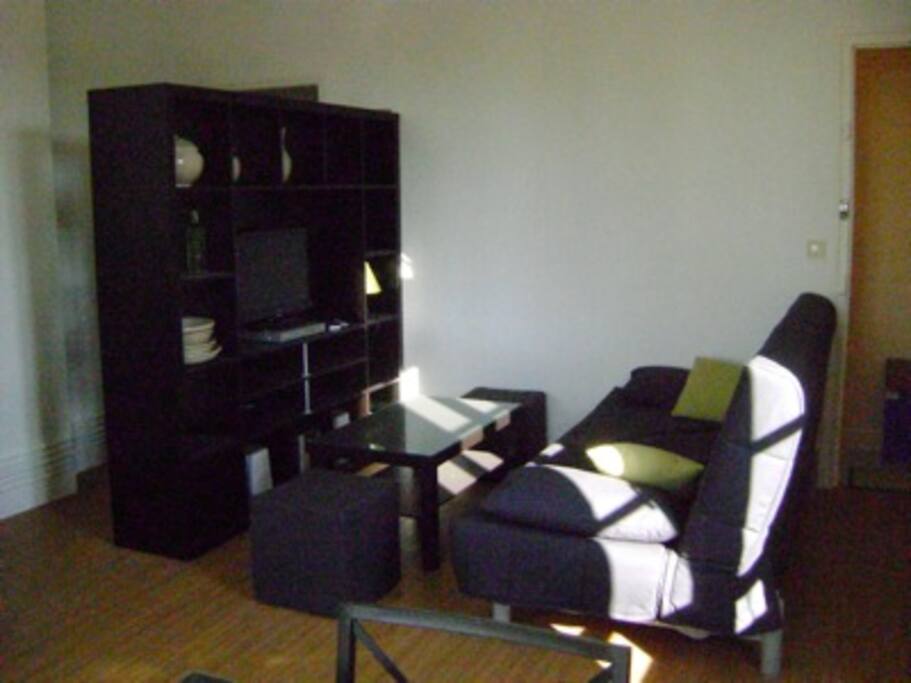coin salon avec clic clac convertible en lit double, tv, lecteur dvd, chaine hi fi