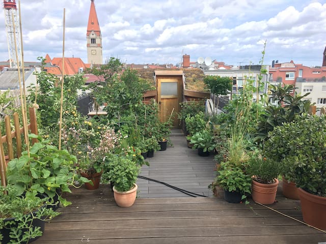 One in a Million Penthouse with Rooftop Garden
