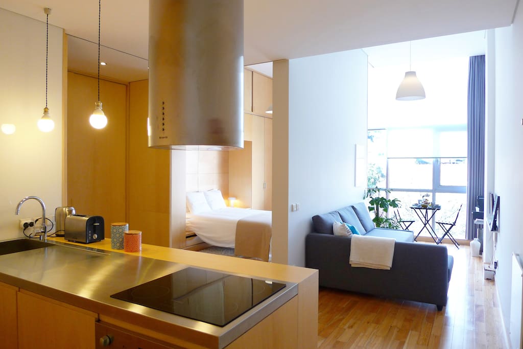 Kitchenette, living-room and bedroom