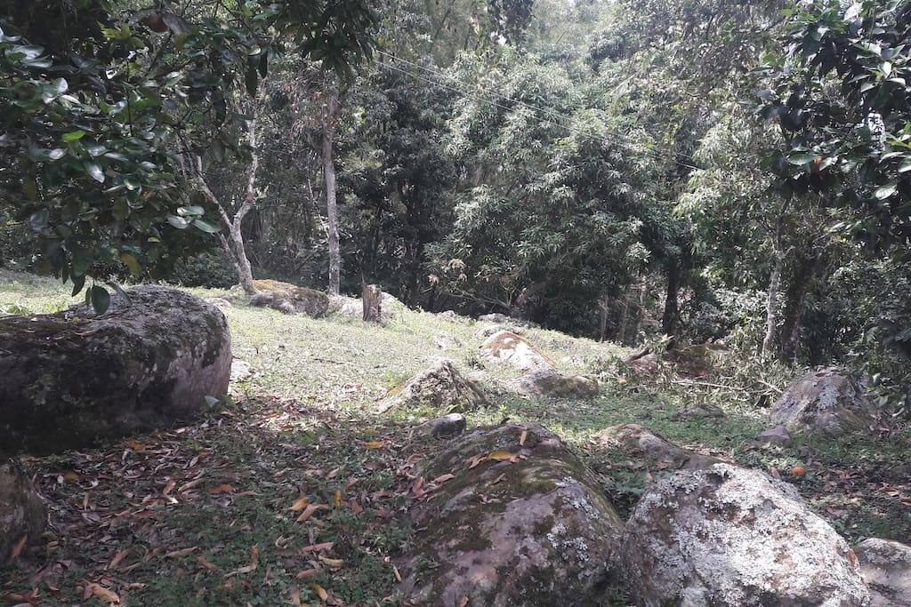 Al rededores de la casa