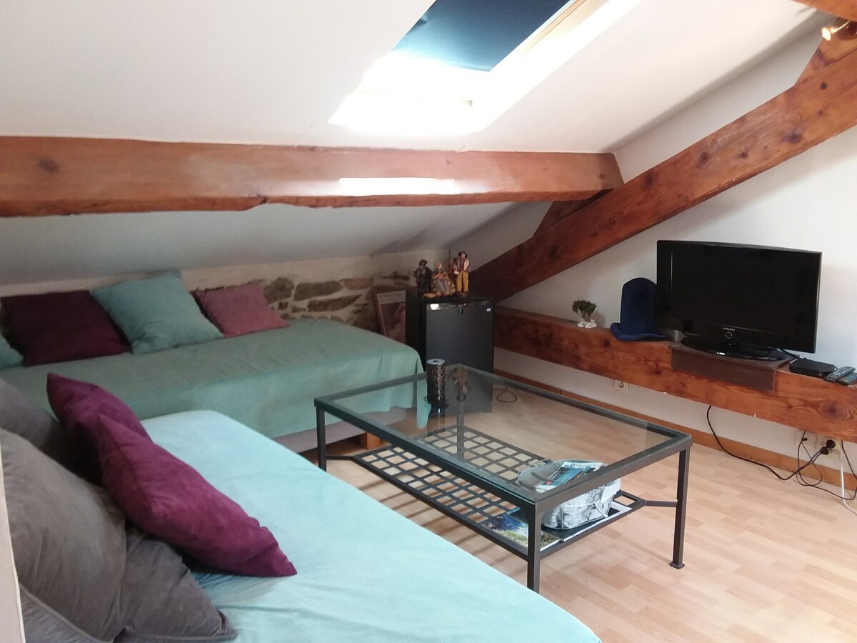 Kwenye sakafu, chumba kikubwa cha 25m2 kilicho na kiyoyozi, mihimili iliyo wazi, eneo la kuishi lenye vitanda 2 vya 90, televisheni. Velux juu ya eneo la viti na moja juu ya kitanda 160, mlango wa kuingia bafuni - WC.