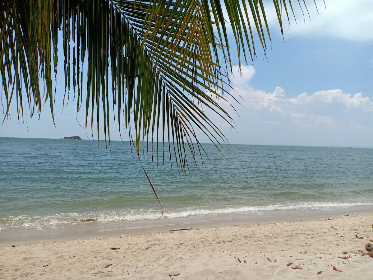 A serene beach view is presented, featuring a gentle shoreline and calm waters, with palm fronds partially framing the image. The horizon meets a clear sky, inviting a sense of tranquility and relaxation by the water.