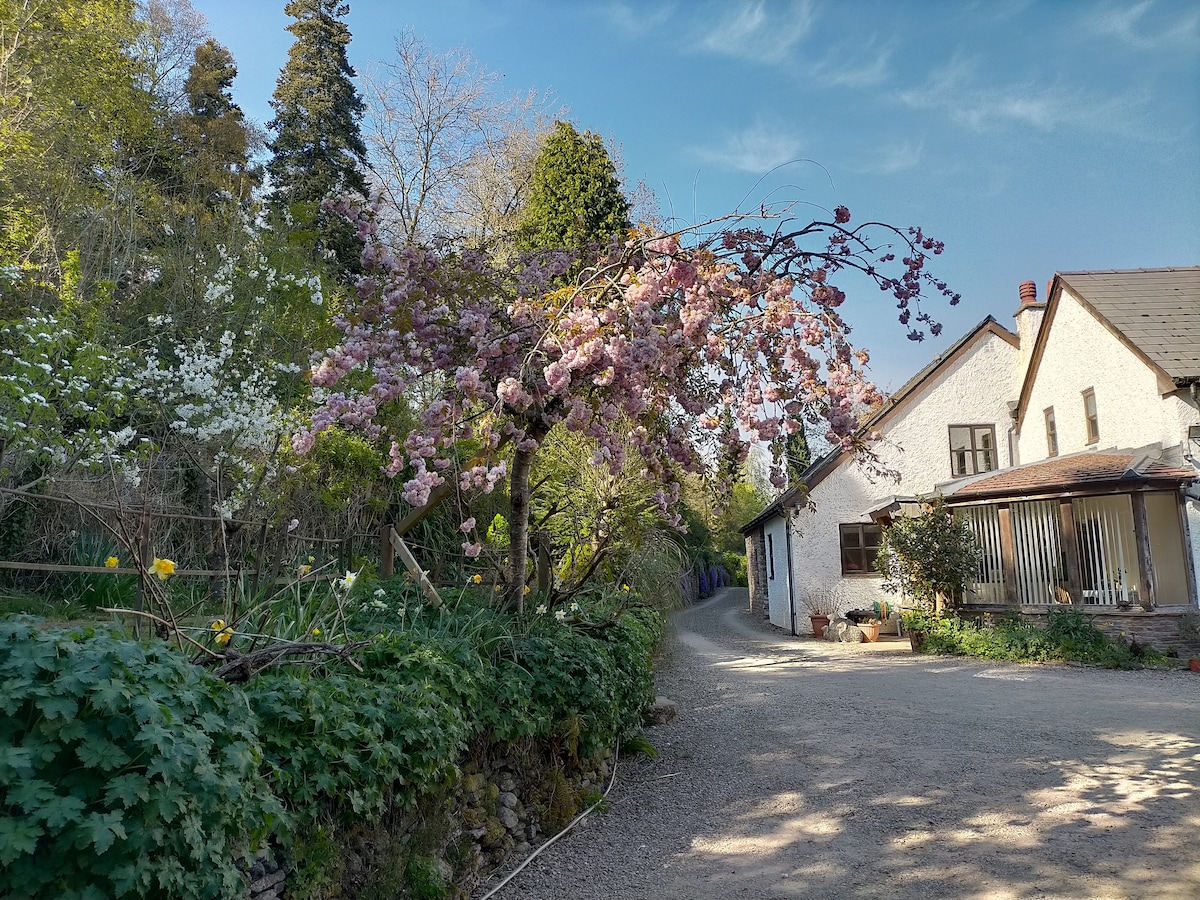 A charming cottage is set alongside a gravel pathway, framed by blooming cherry blossom and lush greenery. The white exterior of the cottage is complemented by the surrounding natural landscape, creating a peaceful and inviting scene that reflects the serenity of the countryside.