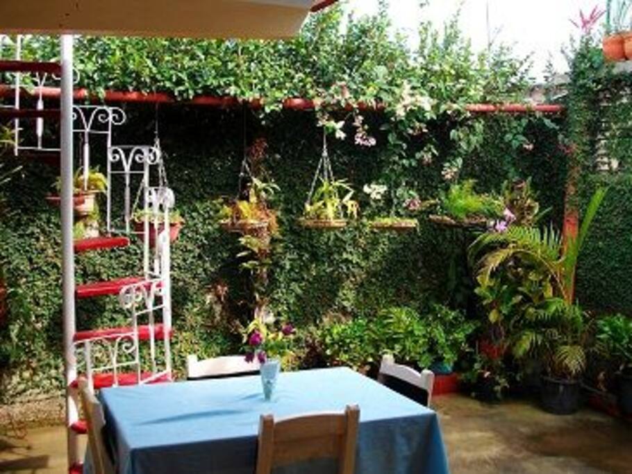 Dining Area, Terrace