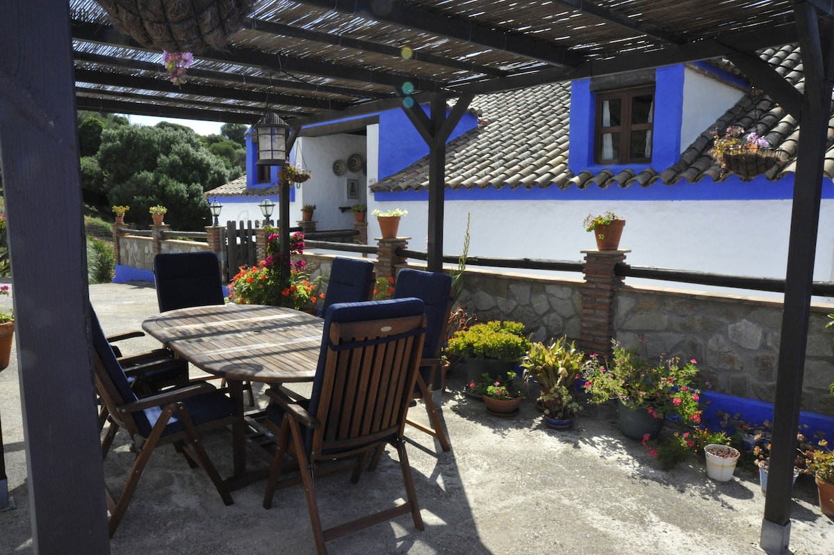 A shaded outdoor terrace features wooden furniture, including a round table surrounded by six chairs. Colorful potted plants are arranged along the stone wall, adding natural beauty to the rustic setting. Blue accents on the building complement the greenery and stonework.