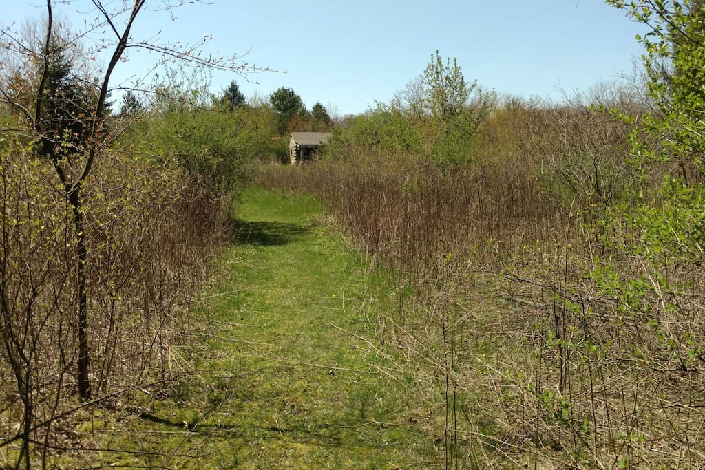 The cabin from a distance