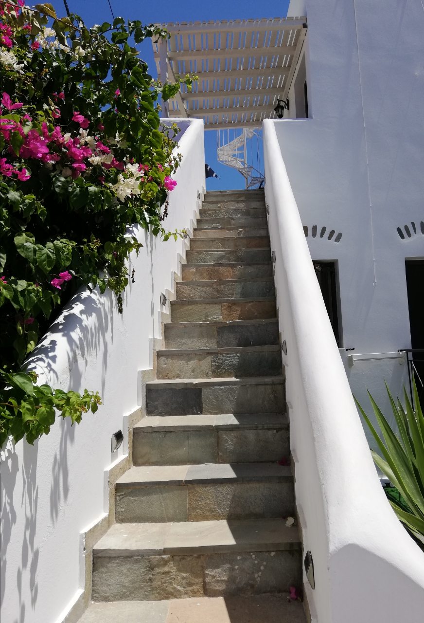 A flight of stone steps ascends towards a shaded terrace, framed by lush green foliage and vibrant blooming flowers. The white walls reflect the sunlight, creating a bright and airy atmosphere. A decorative railing can be seen alongside the stairs.