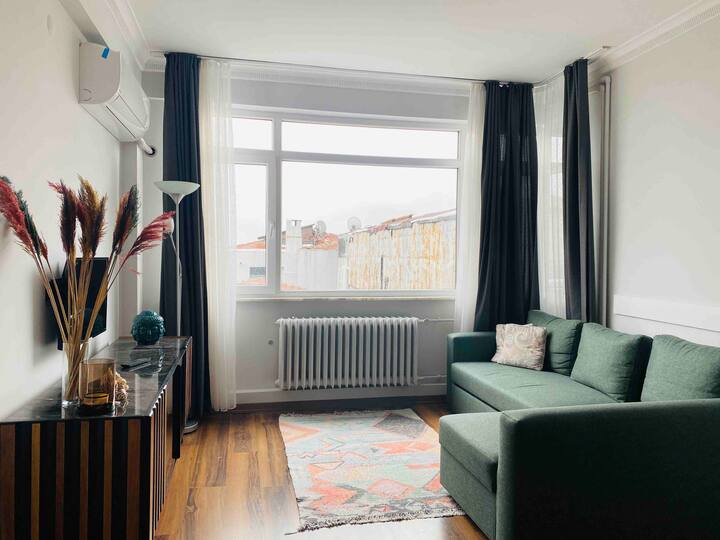 Renovated 2br Flat With Bosphorus View In Taksim - Beyoğlu