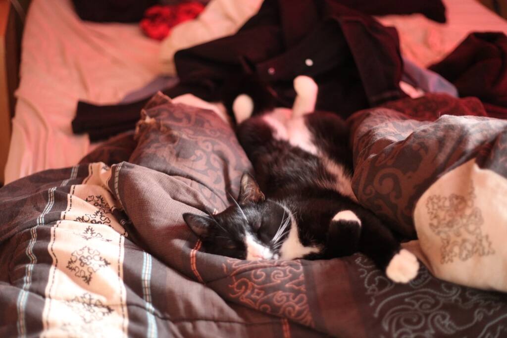 Ici on dort bien