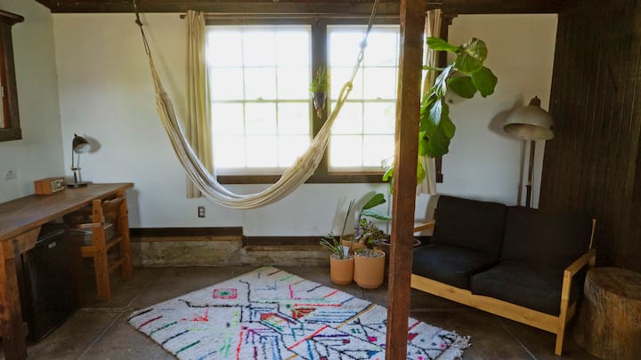 La hamaca interior, las plantas y la alfombra turca de neón.