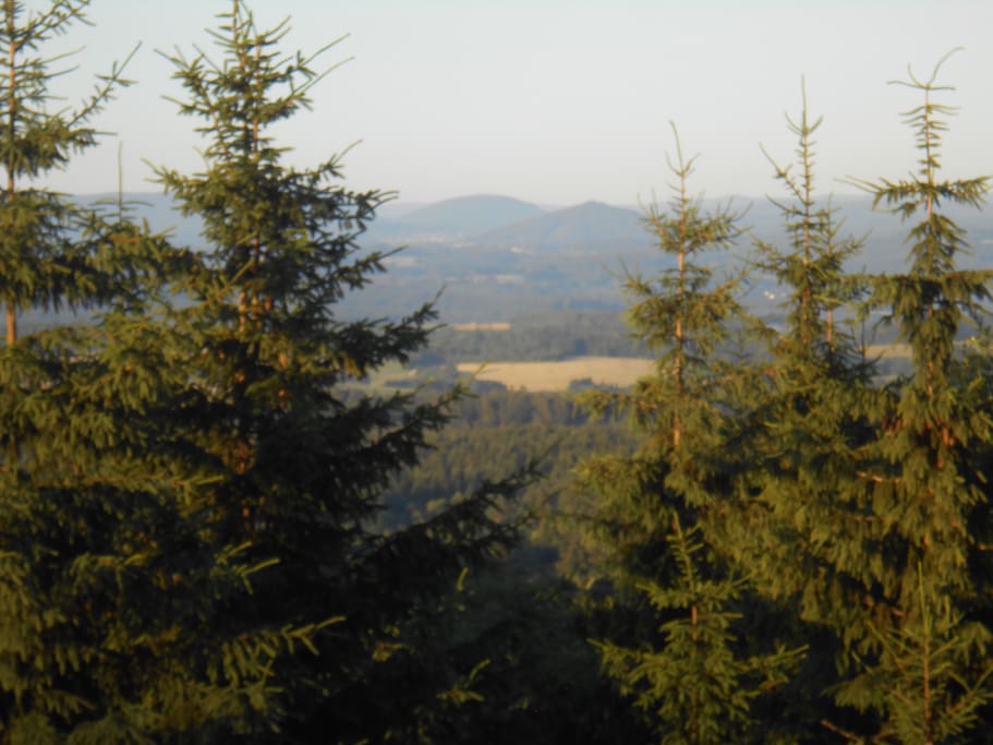 Vue du logement