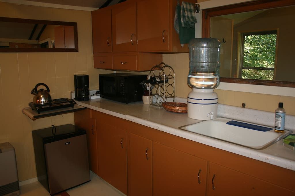 Water dispenser and sink