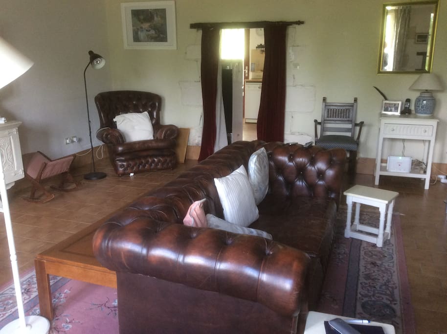 Leather furniture in living room
