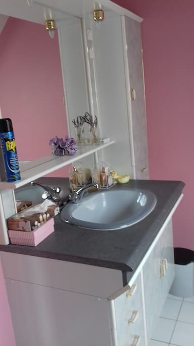 1ére salle de bain