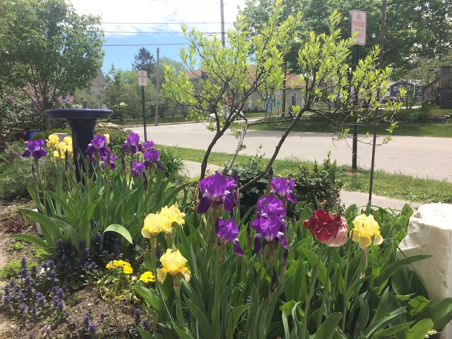 Sit on the bench or picnic table and enjoy the garden.