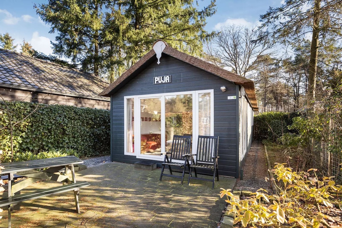 A charming tiny house features large glass doors that allow natural light to fill the interior. Two black wooden chairs are positioned outside on a stone patio, surrounded by greenery. A peaceful, natural setting is enhanced by surrounding trees and hedges.