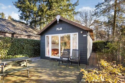 Tiny house in the middle of for the woods.