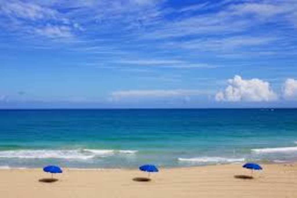 The Beach