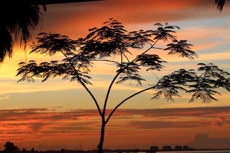 Chiclana II at Sunny Shores 1.2 miles to Beach