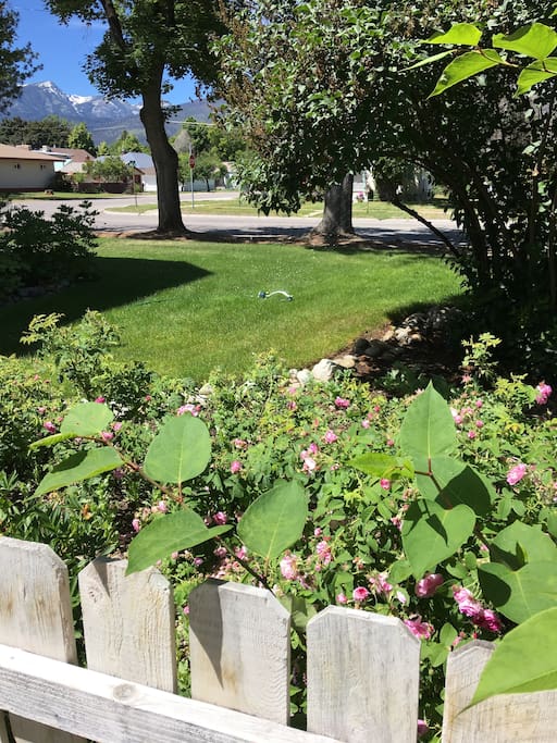 From back side yard facing west