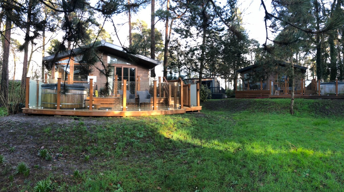 A panoramic view of the lodge is presented, showcasing a spacious deck featuring a hot tub surrounded by wooden railing. The lodge structure is embraced by trees, with another lodge visible in the background, set against a green landscape.