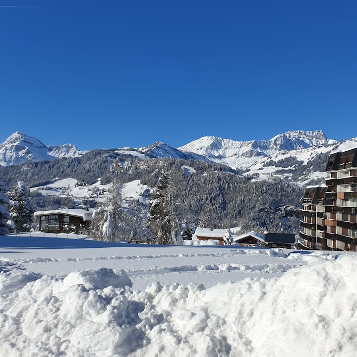 Notre-Dame-de-Bellecombe : locations de vacances et logements