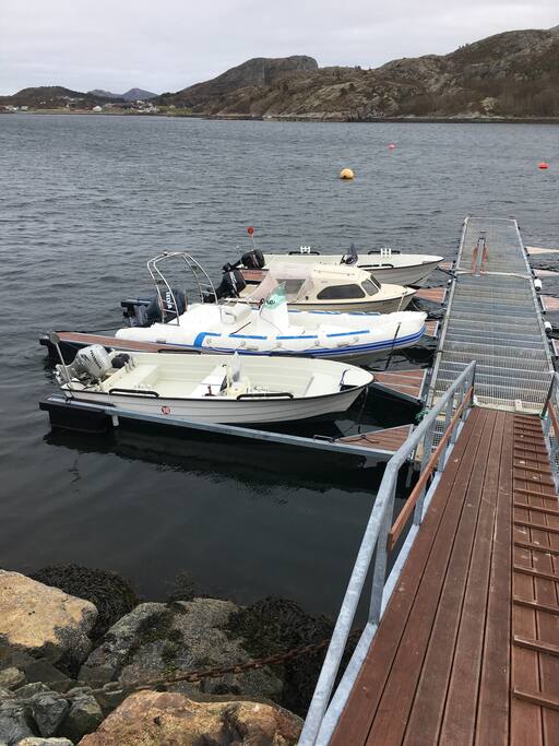 Boat rentals