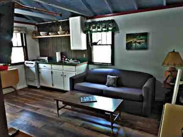 Bear Vintage Waterfront Cabin - Eagle River