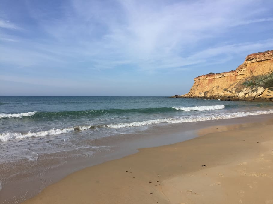 Beach Cove
