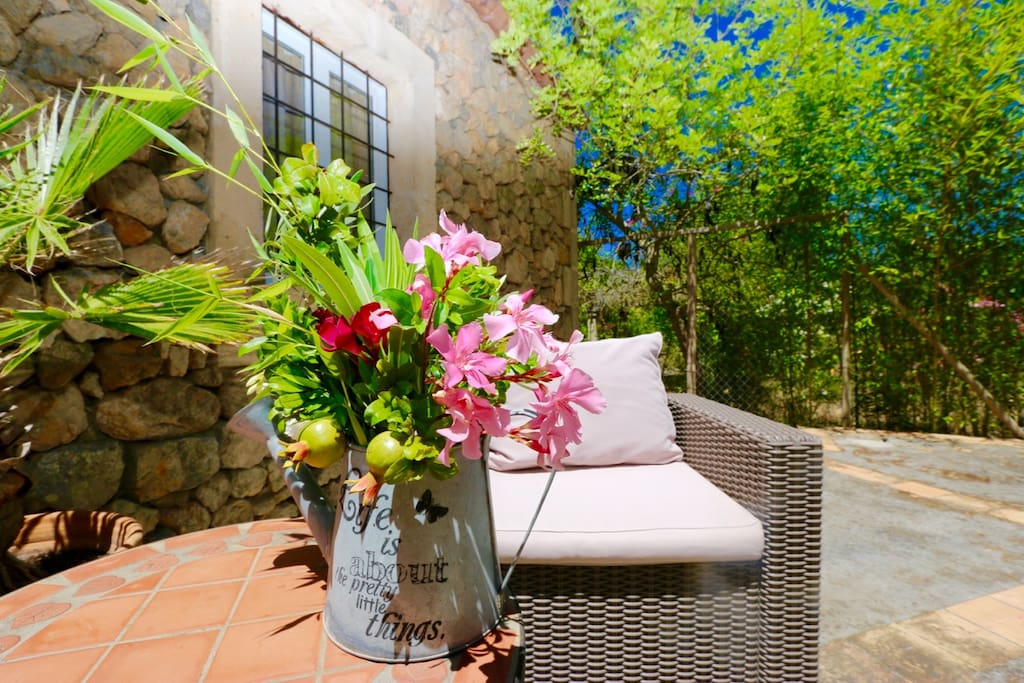 Finca Mallorca mit Terrasse, nahe Wanderweg
