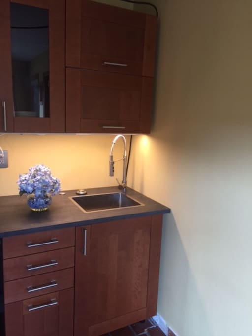 Small kitchenette, currently without stove but with microwave and fridge