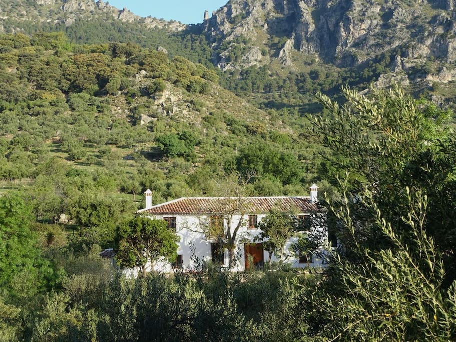 La Betania
