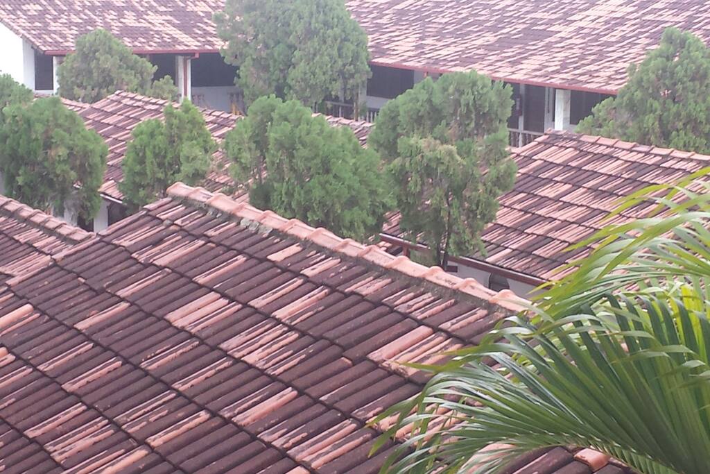 O barroco e as cores que só Minas tem .