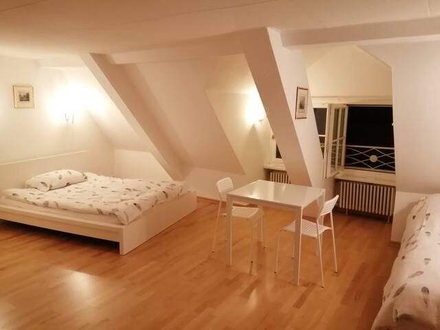 Studio F am Barfüsserplatz central old town