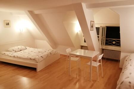 Studio F am Barfüsserplatz central old town