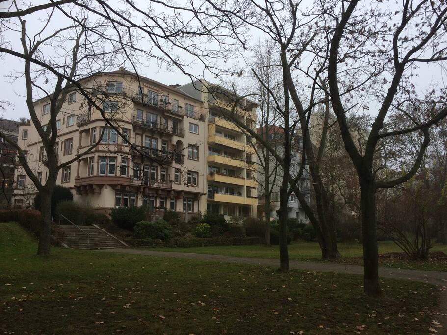 Balkon zur Rheinseite und ins Grüne