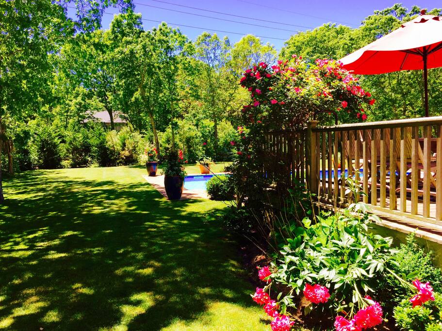 View from your deck