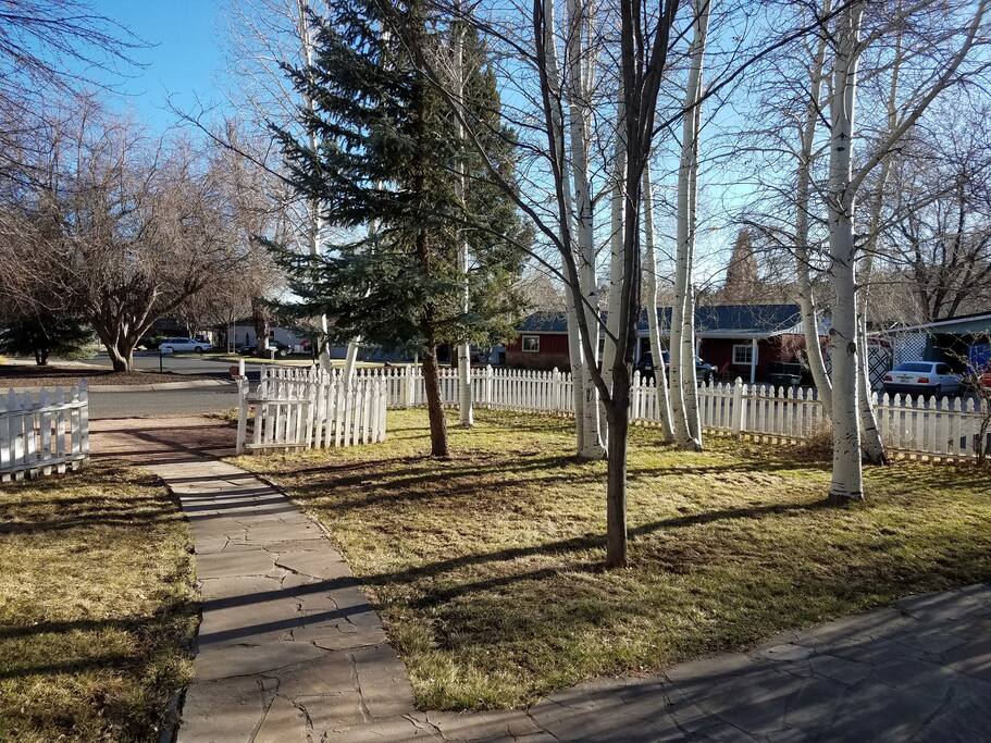 Nice grass, mature aspen trees, and a beautiful apple tree